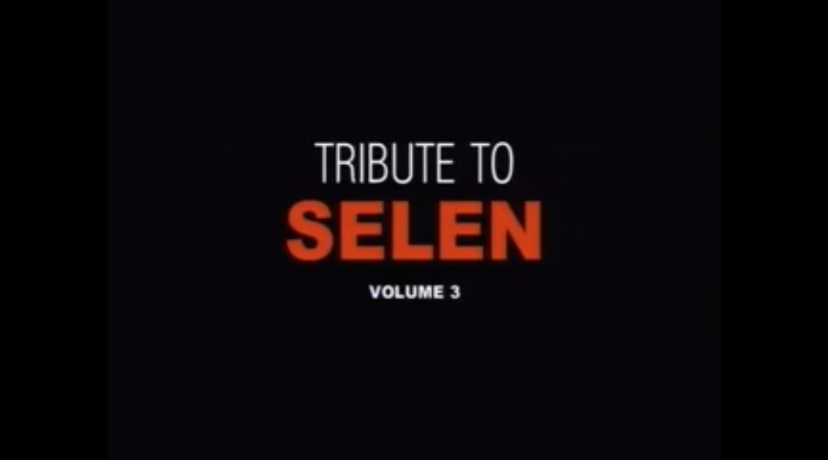 Tribute to Selen - volume 3
