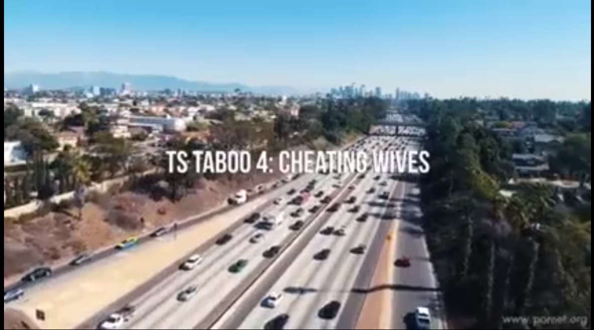 TS Taboo 4: Cheating Wives
