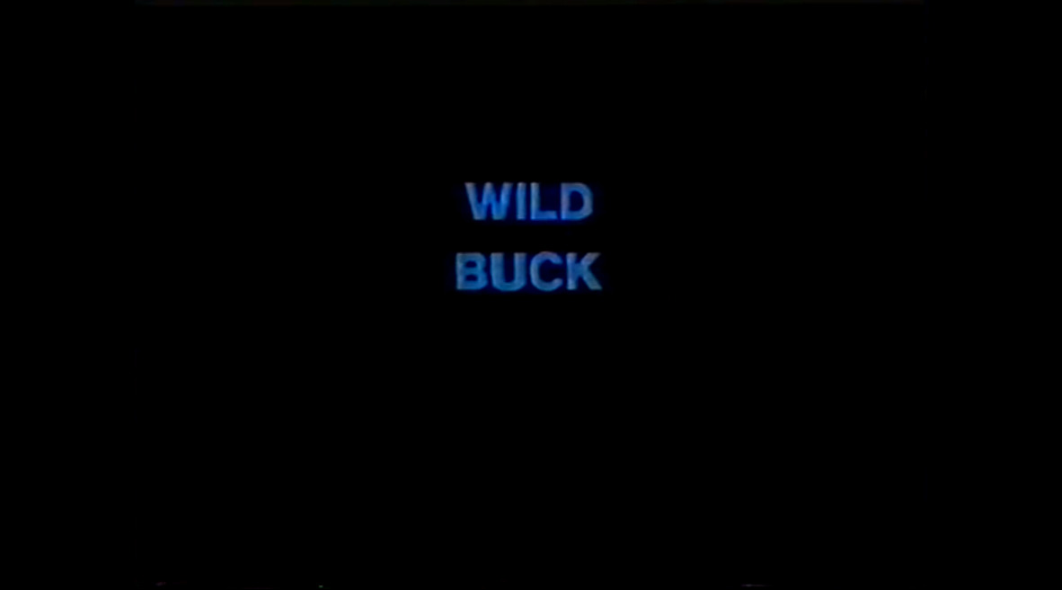 Wild Buck