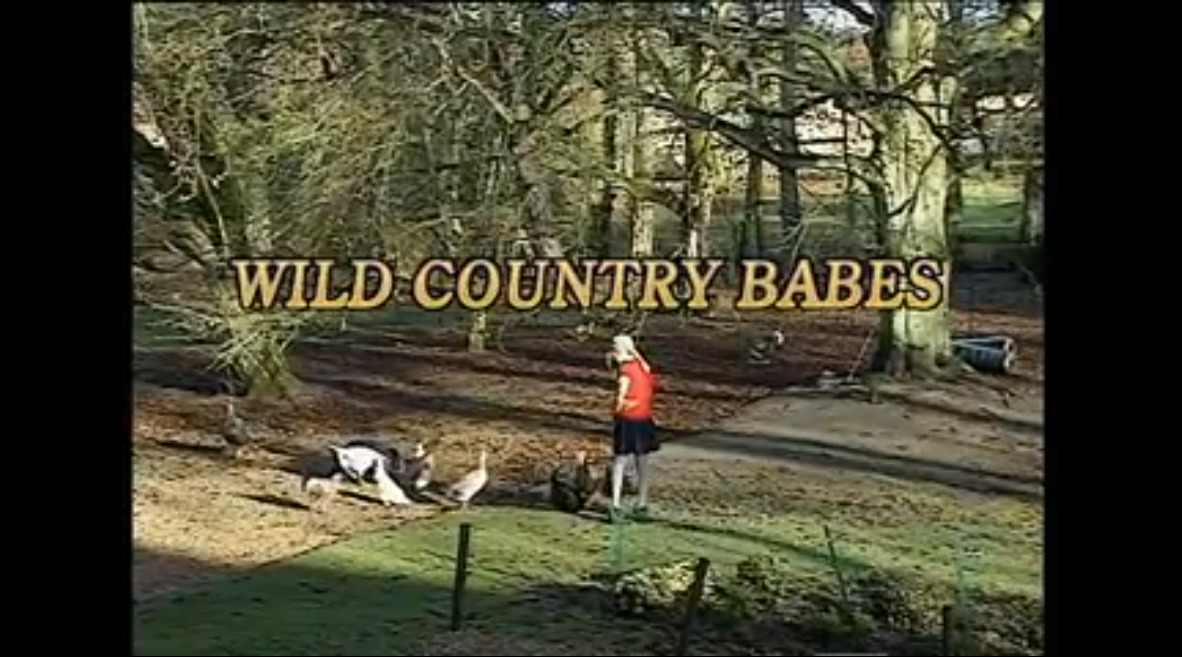 Wild Country Babes
