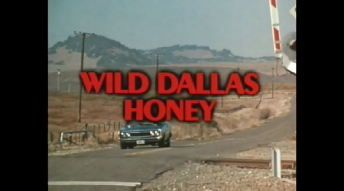 Wild Dallas Honey