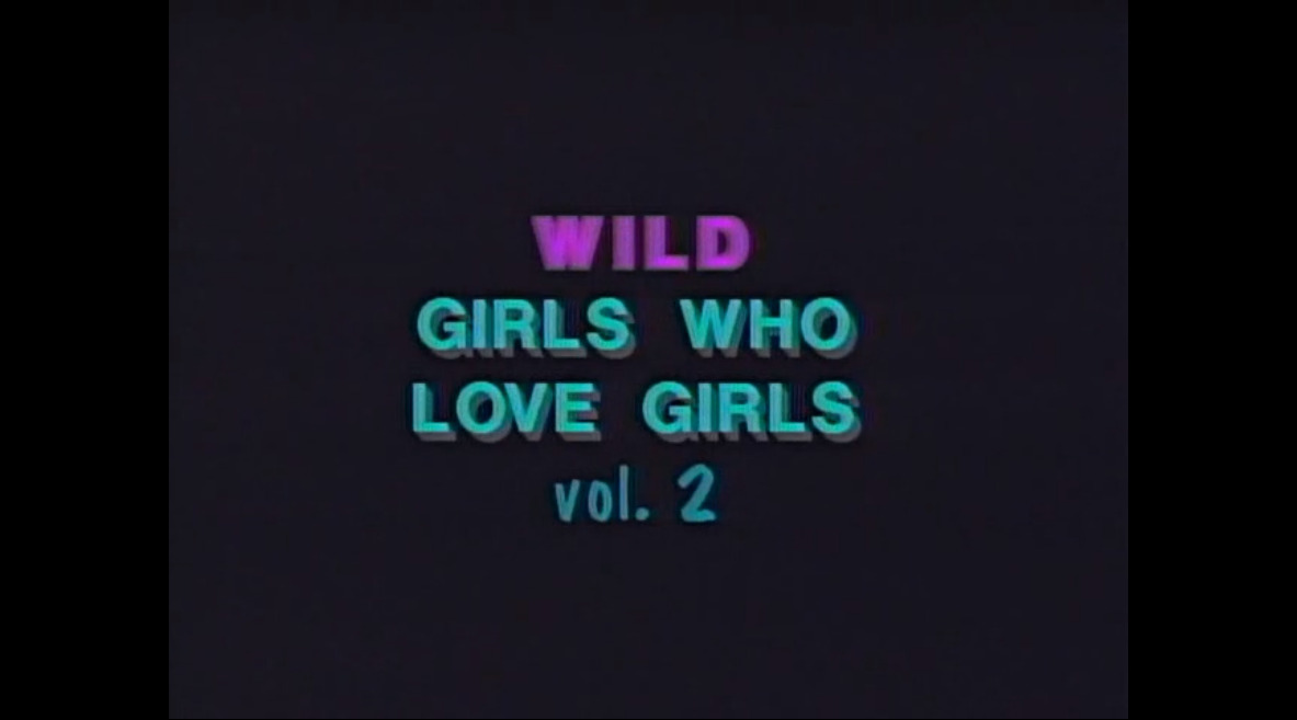 Wild Girls Who Love Girls vol. 2